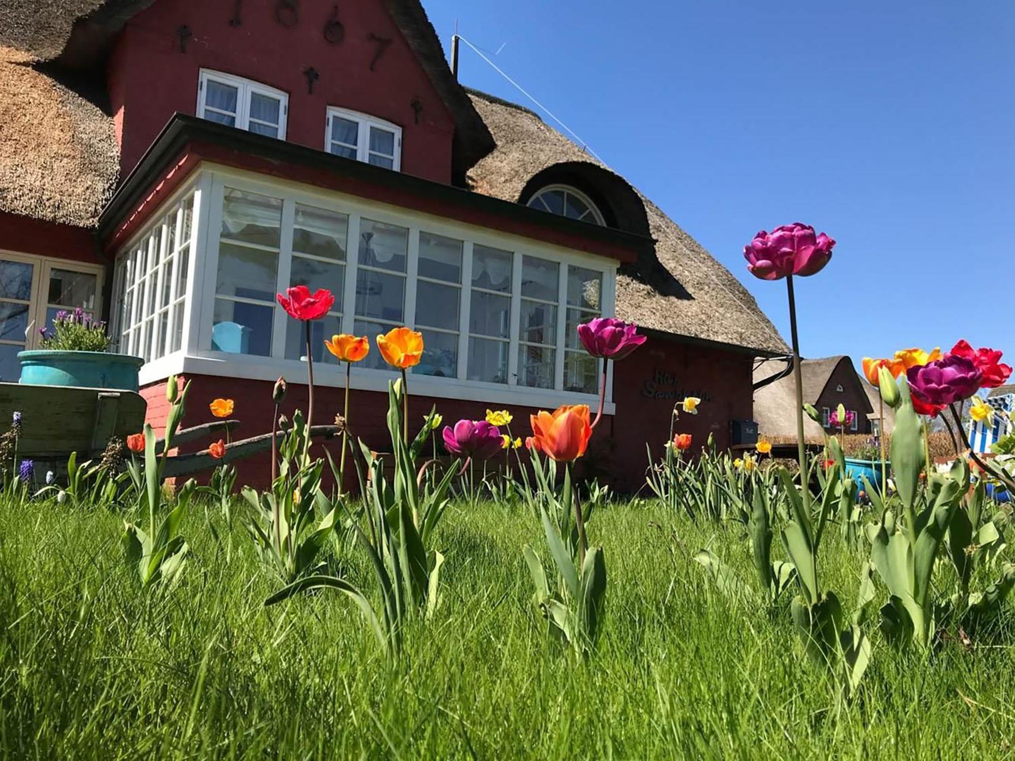 Hues Sanskiin Ferienwohnung *Hopelfask* Suddorf Kültér fotó