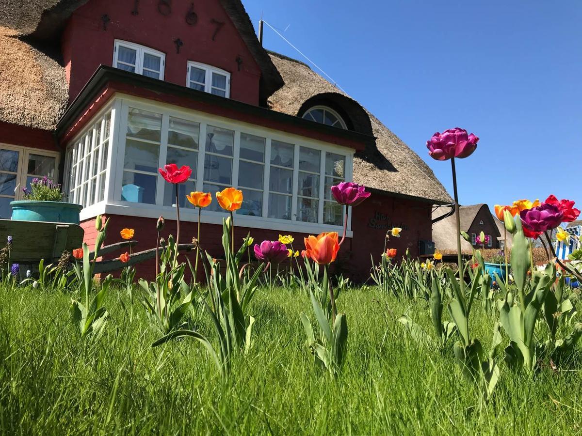Hues Sanskiin Ferienwohnung *Hopelfask* Suddorf Kültér fotó